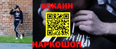кокс Гатчина