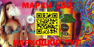 кокс Гатчина