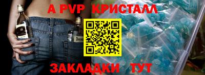 кокс Гатчина