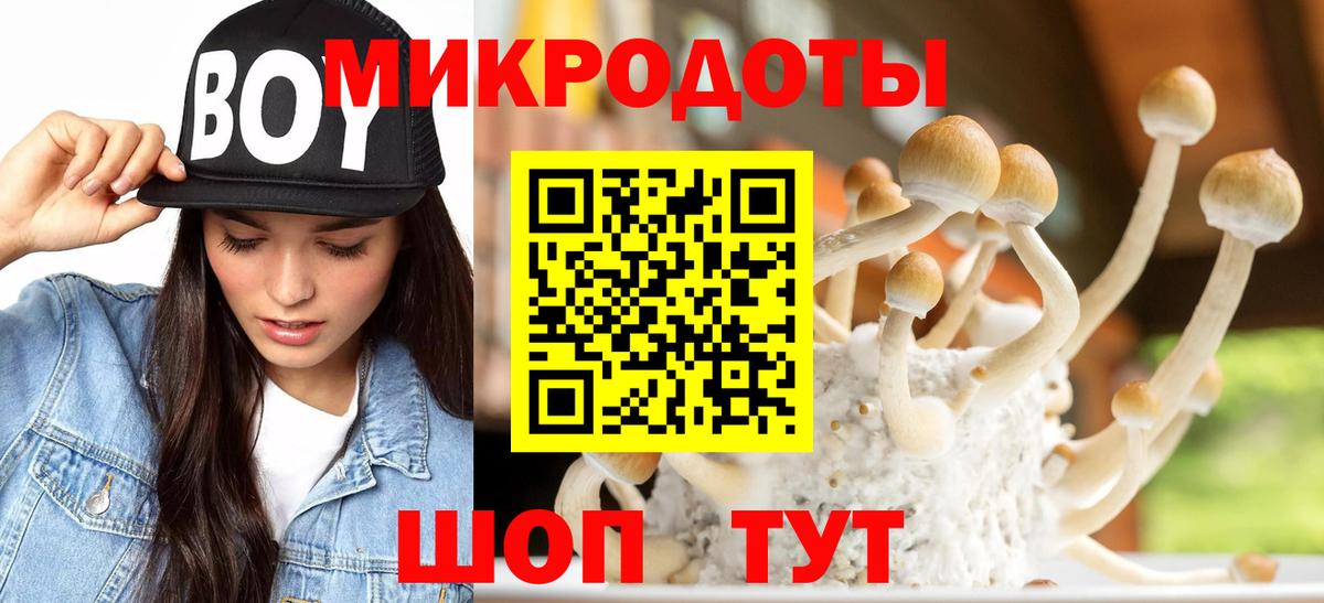 Малоярославец  Галлюциногенные грибы Psilocybe  Вход с VPN 